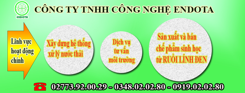 Lĩnh vực kinh doanh