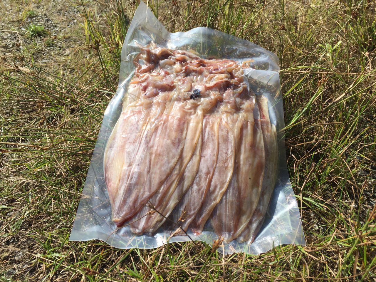 Giá trị dinh dưỡng trong khô mực