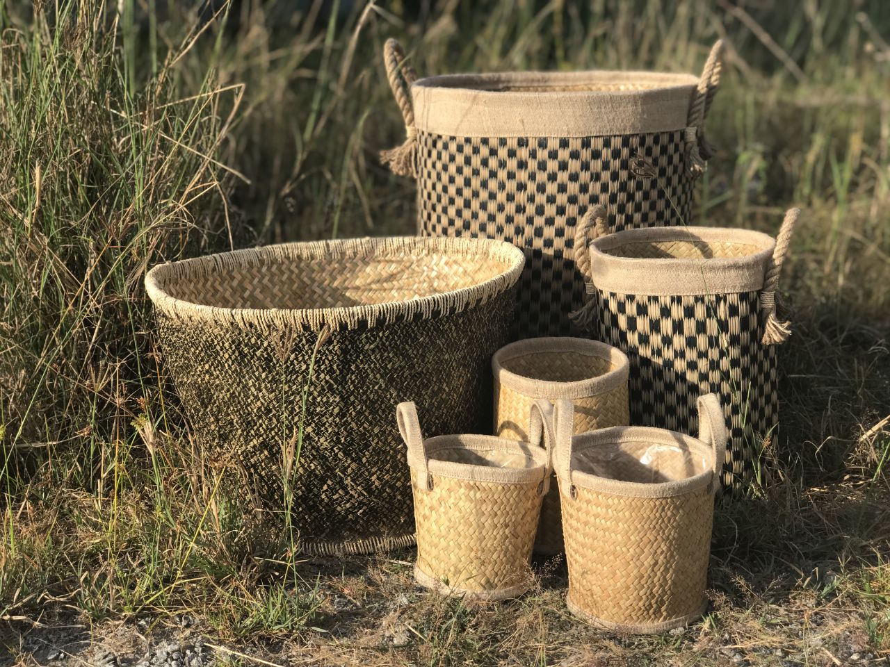 Những sản phẩm nổi bật của cỏ bàng