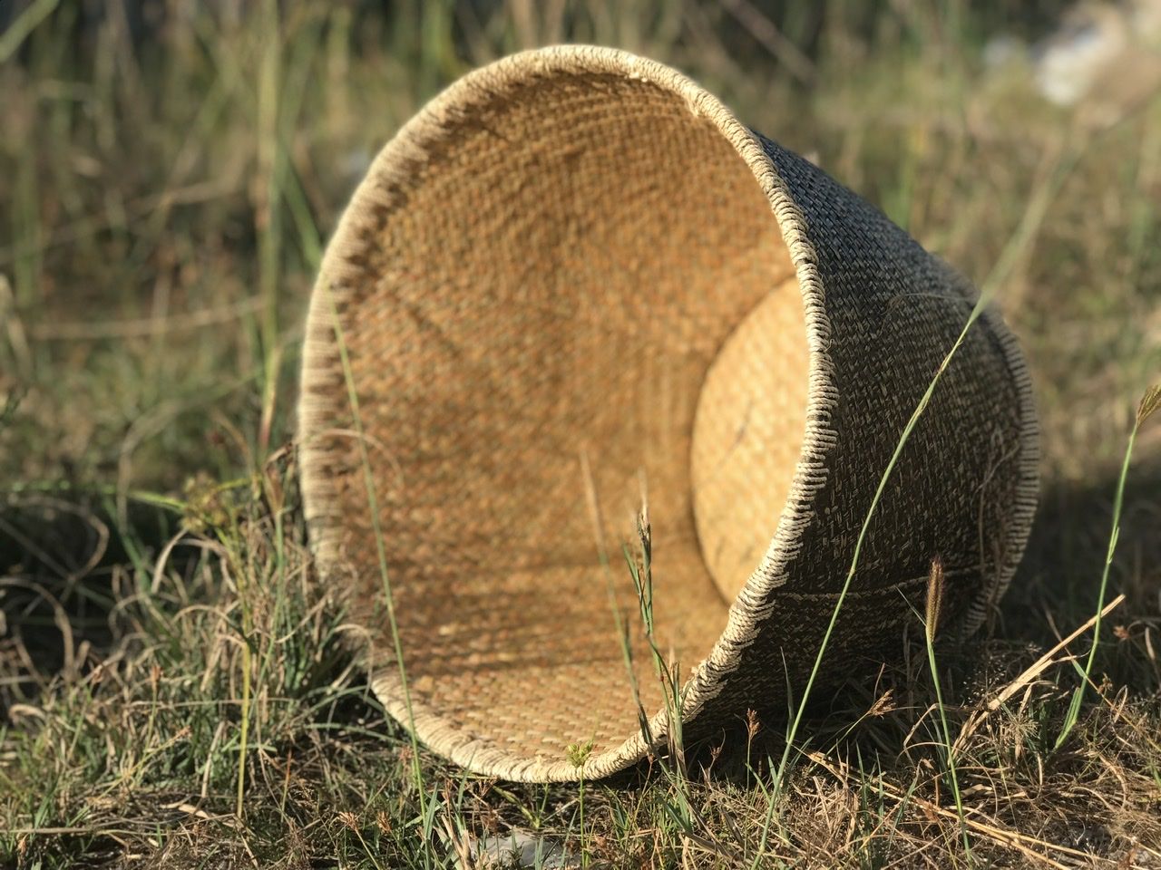 Bảo vệ môi trường