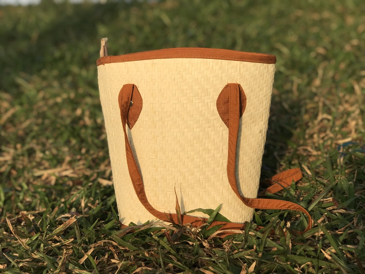 Mang túi xach cỏ bàng đi du lịch