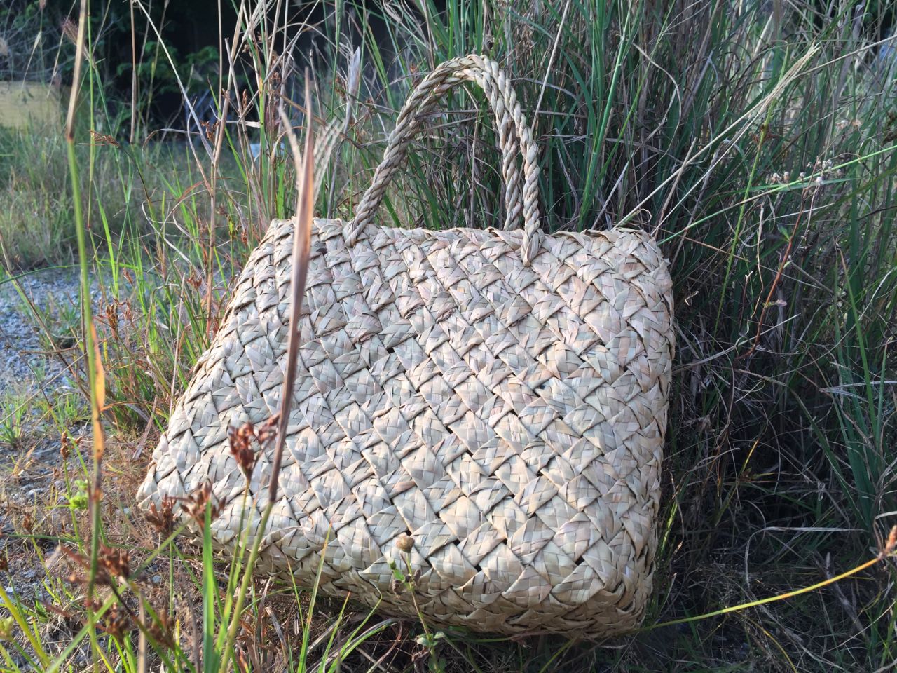 Vì sao túi xách cỏ bàng là phụ kiện thời trang cần thiết cho phái đẹp ?