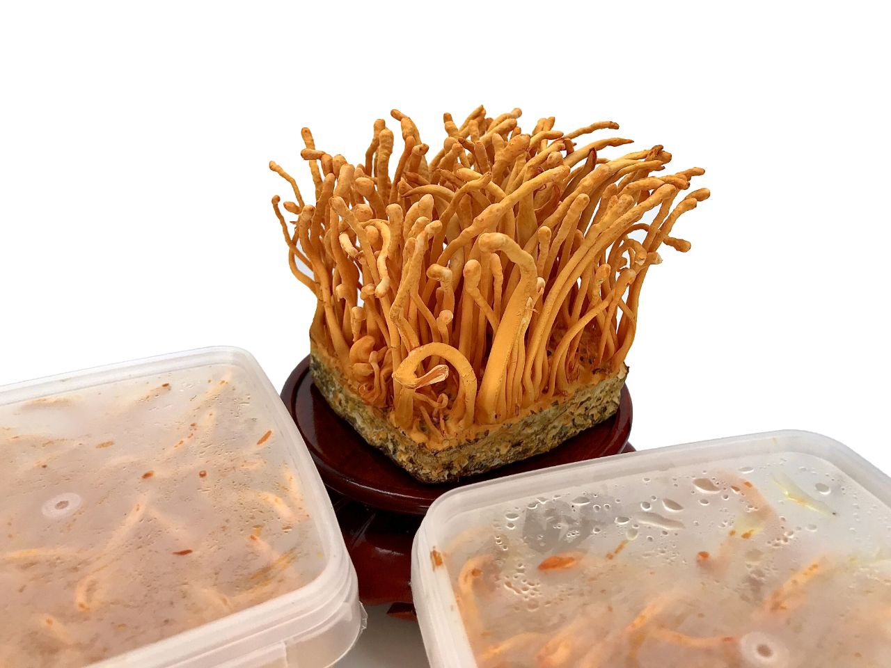 Người bị bệnh tim