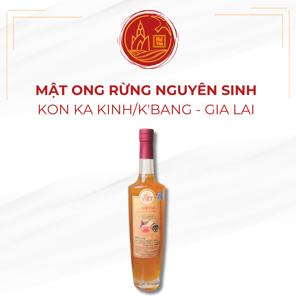 Vào buổi sáng