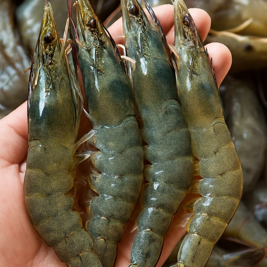 Giàu protein chất lượng cao  