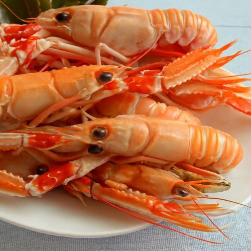 Tôm Càng Biển Là Gì? Tôm Càng Biển Có Tác Dụng Gì?
