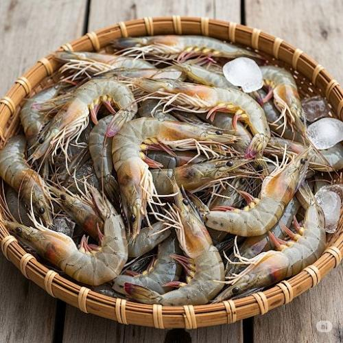 Sẹo lồi có được ăn tôm không?
