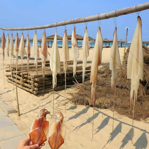 Bảo quản mực 1 nắng đi xa