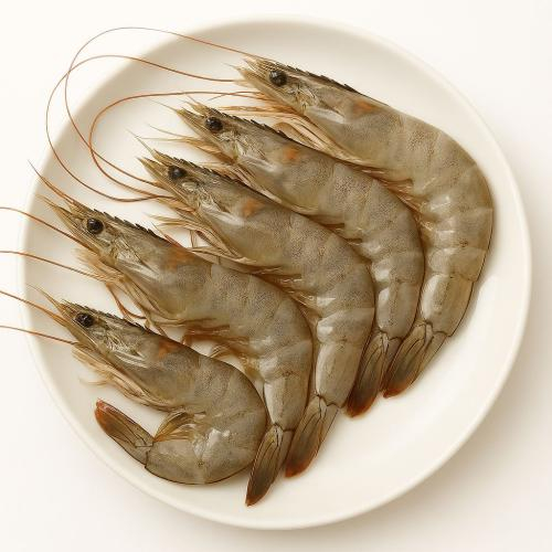 Vết Thương Hở Ăn Tôm Được Không? Bao Lâu Thì Ăn Được Tôm?