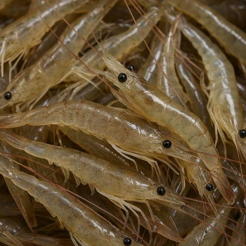 Người bị dị ứng hải sản