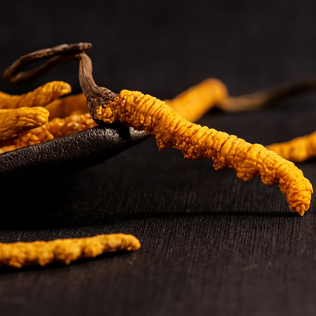 Đông trùng hạ thảo tự nhiên