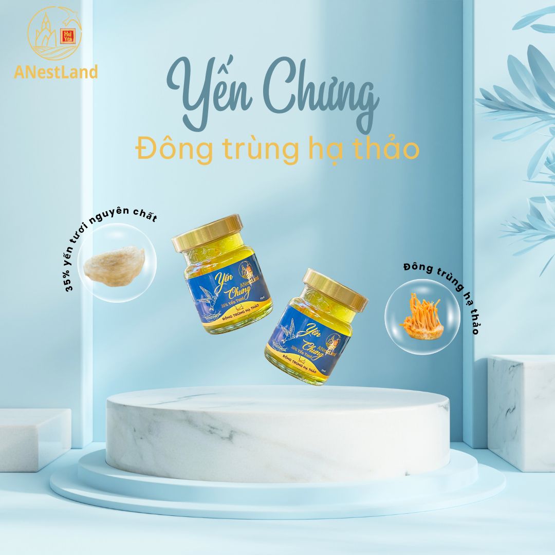 Yến chưng đông trùng hạ thảo