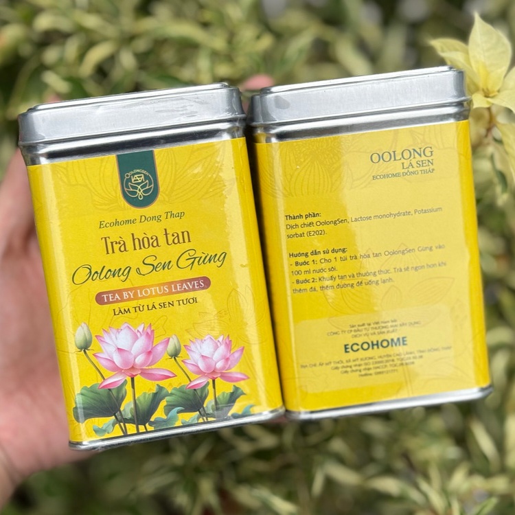 Trà hòa tan oolong sen gừng có ngon không?