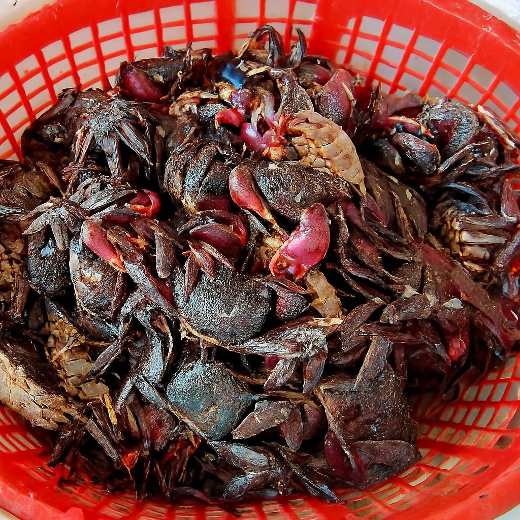 Chọn ba khía còn sống