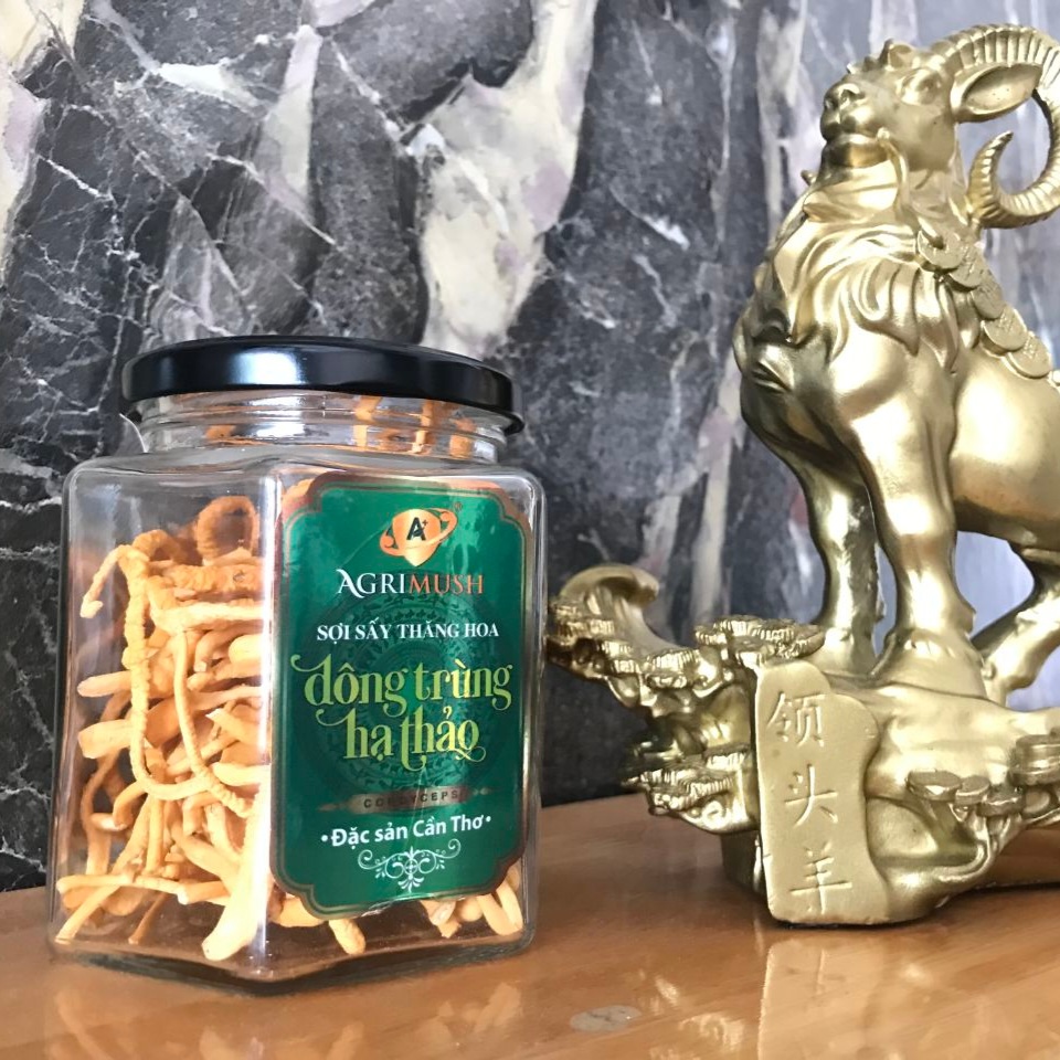 Dùng đông trùng hạ thảo bao lâu thì có hiệu quả?