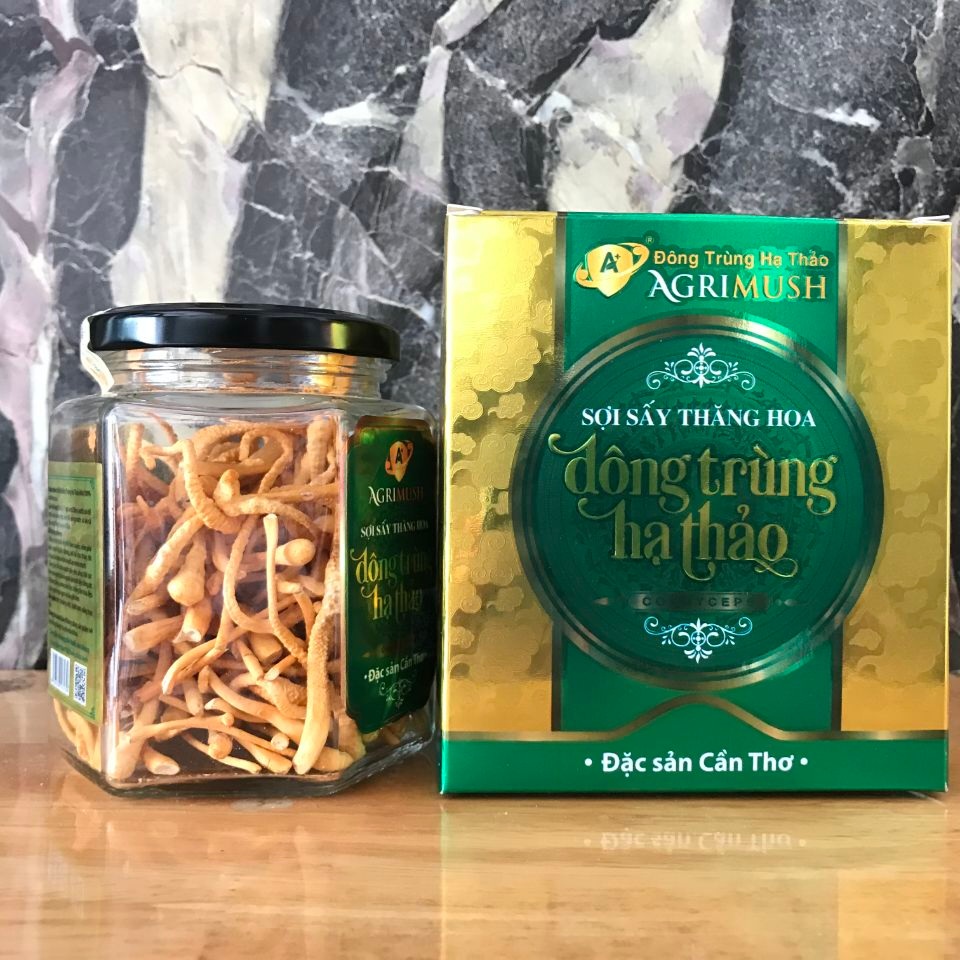 Đông trùng hạ thảo khô
