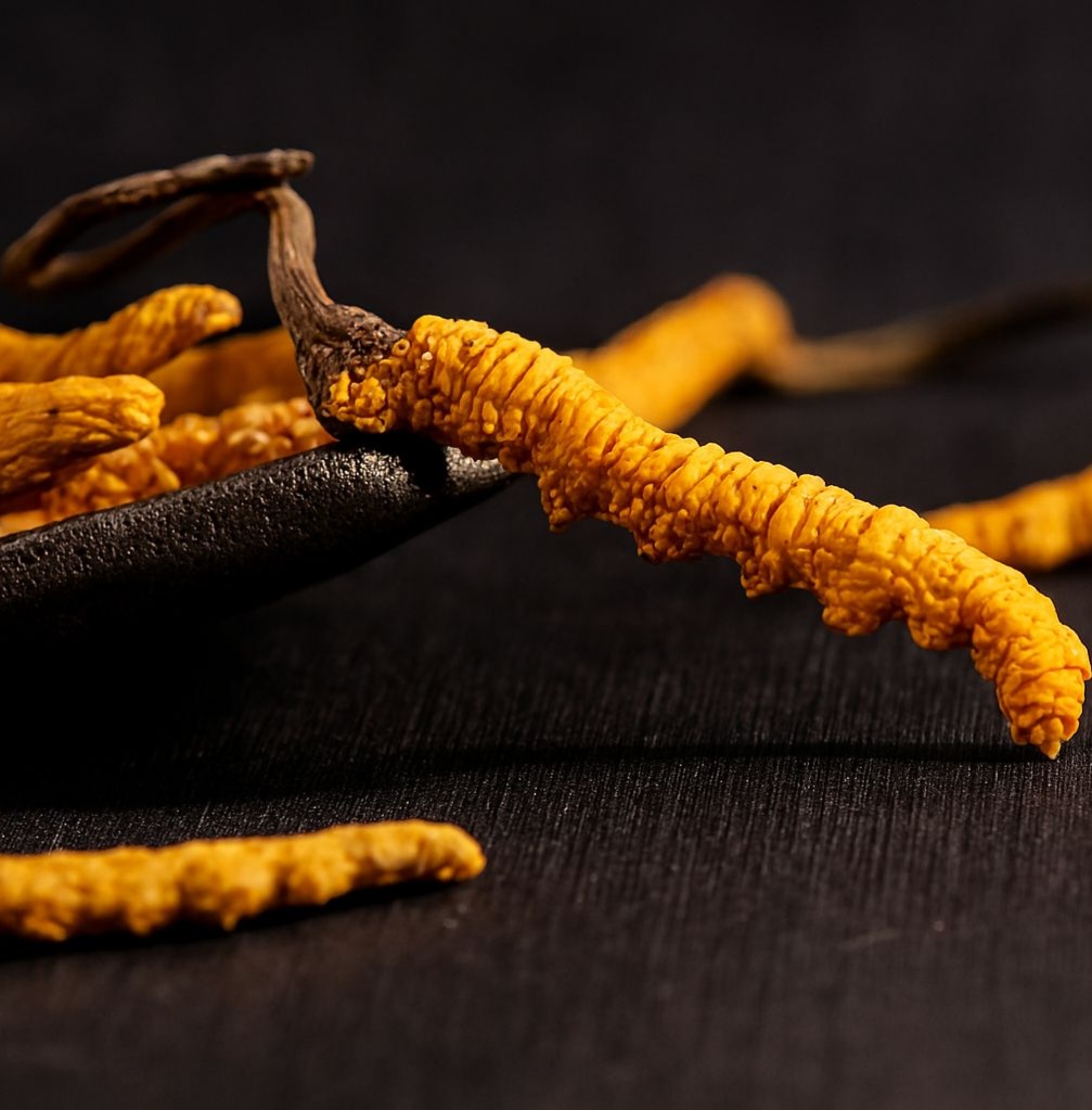 Chọn sản phẩm chất lượng