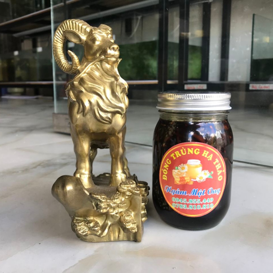 Uống Đông Trùng Hạ Thảo Ngâm Mật Ong Thường Xuyên Có Tốt Không?