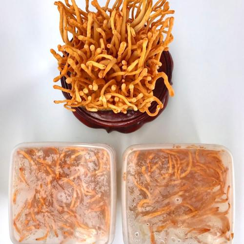 Giá cả hợp lý