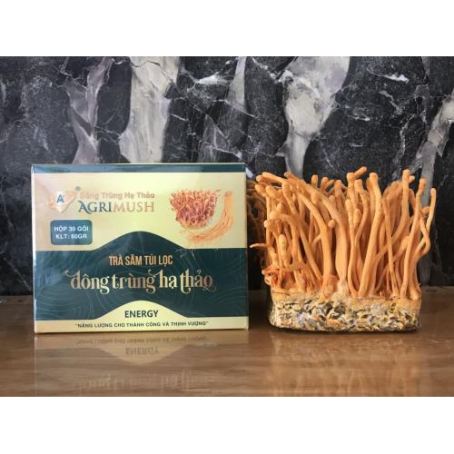 Đông trùng dạng trà túi lọc