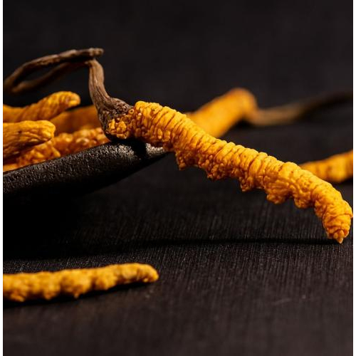 Chọn sản phẩm chất lượng