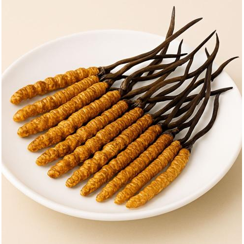 Hỗ trợ sức khỏe hệ hô hấp