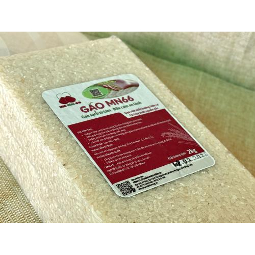 Gạo MN66 Túi 2kg