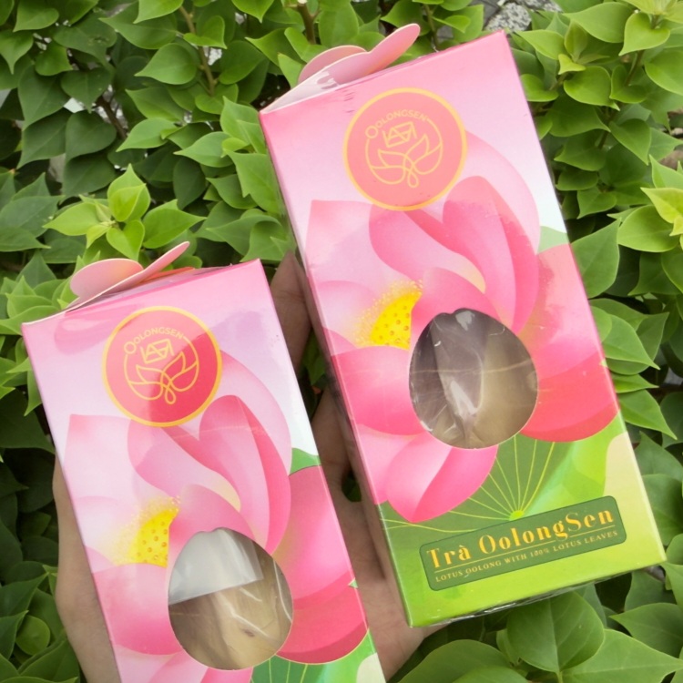 Lưu ý khi sử dụng