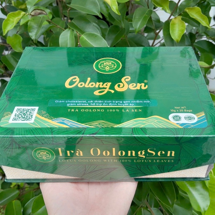 Nên Uống Trà Oolong Sen Như Thế Nào?