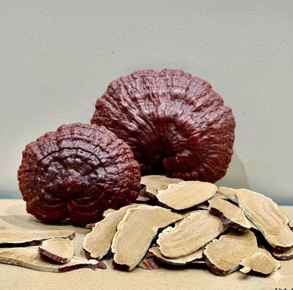 Rủi ro khi dùng nấm linh chi rừng