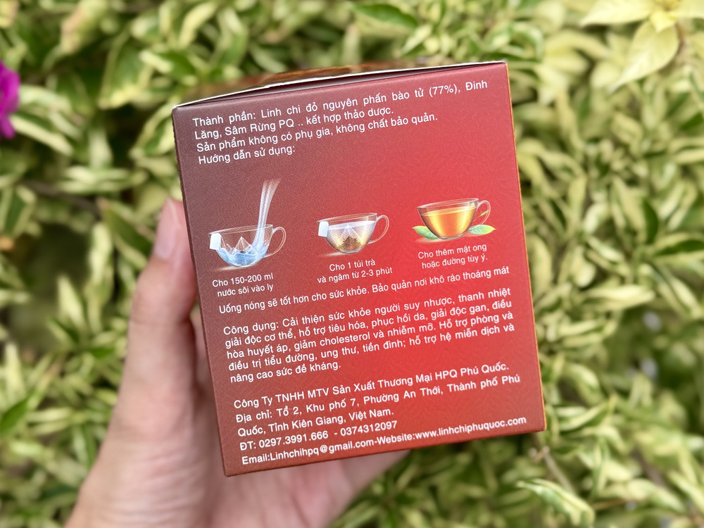 Thành phần của trà linh chi thảo dược