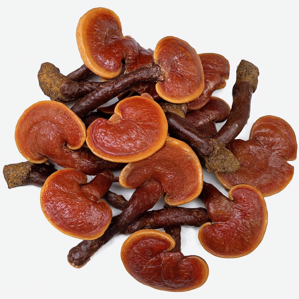 Uống Nấm Linh Chi Nhiều Có Tốt Cho Sức Khỏe Không?