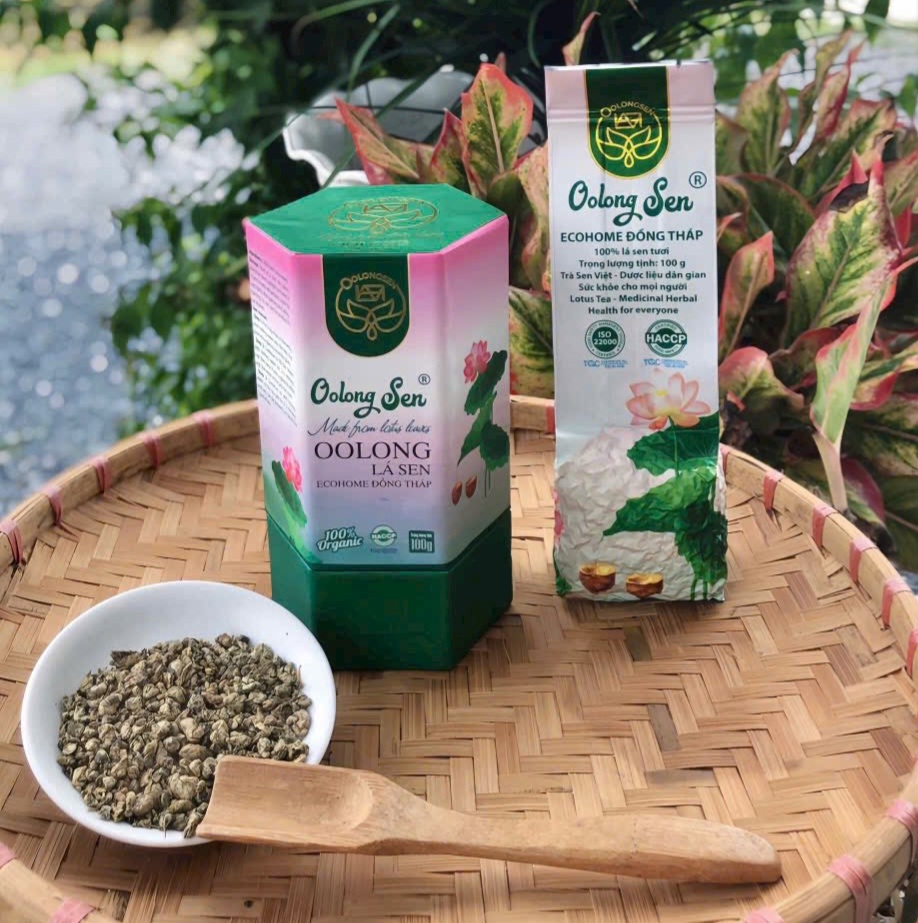 Quan sát hình dạng