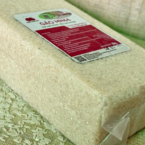 Cách nấu gạo MN66?