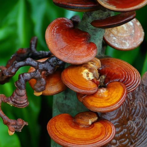 Giúp bạn cảm thấy thư giãn