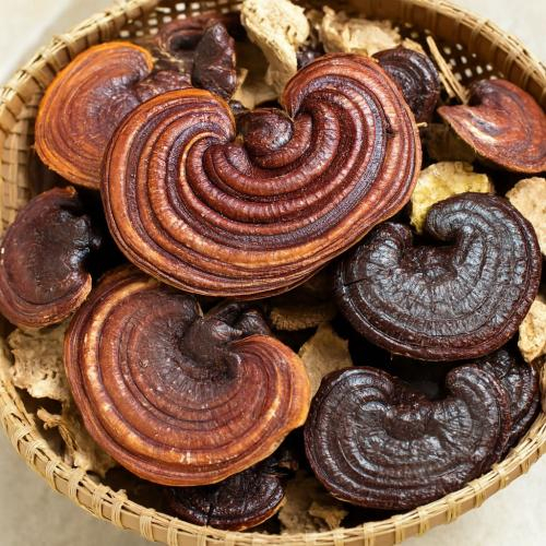 Tránh gián đoạn giấc ngủ