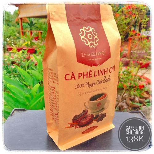 Chọn hạt cà phê linh chi hữu cơ