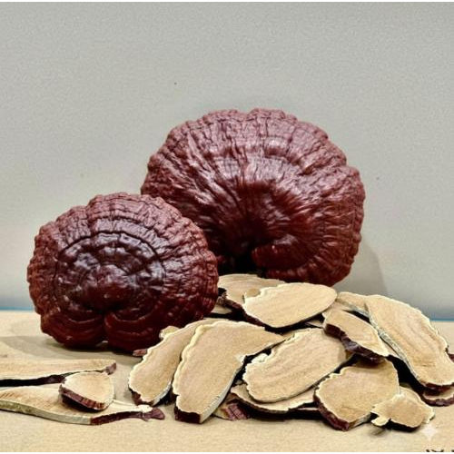 Chọn nấm linh chi thái lát