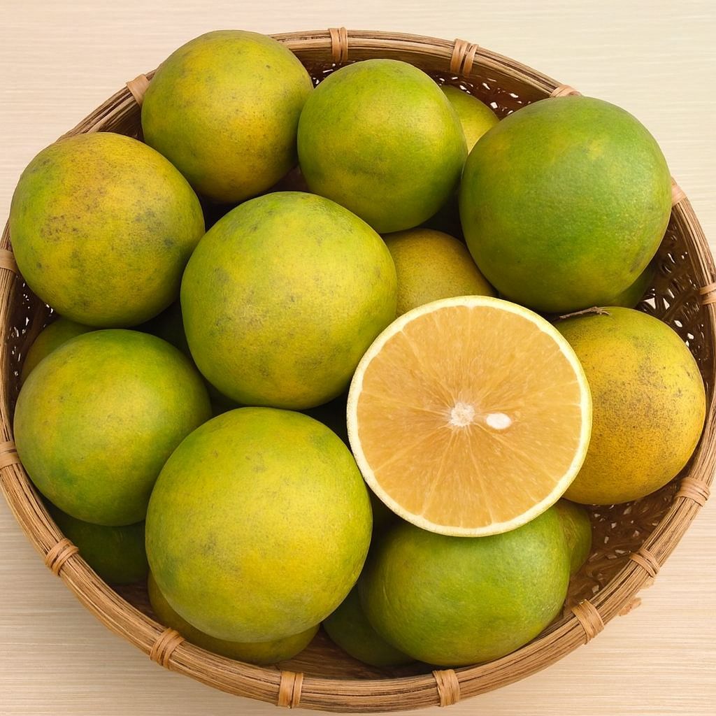 Cam xoàn