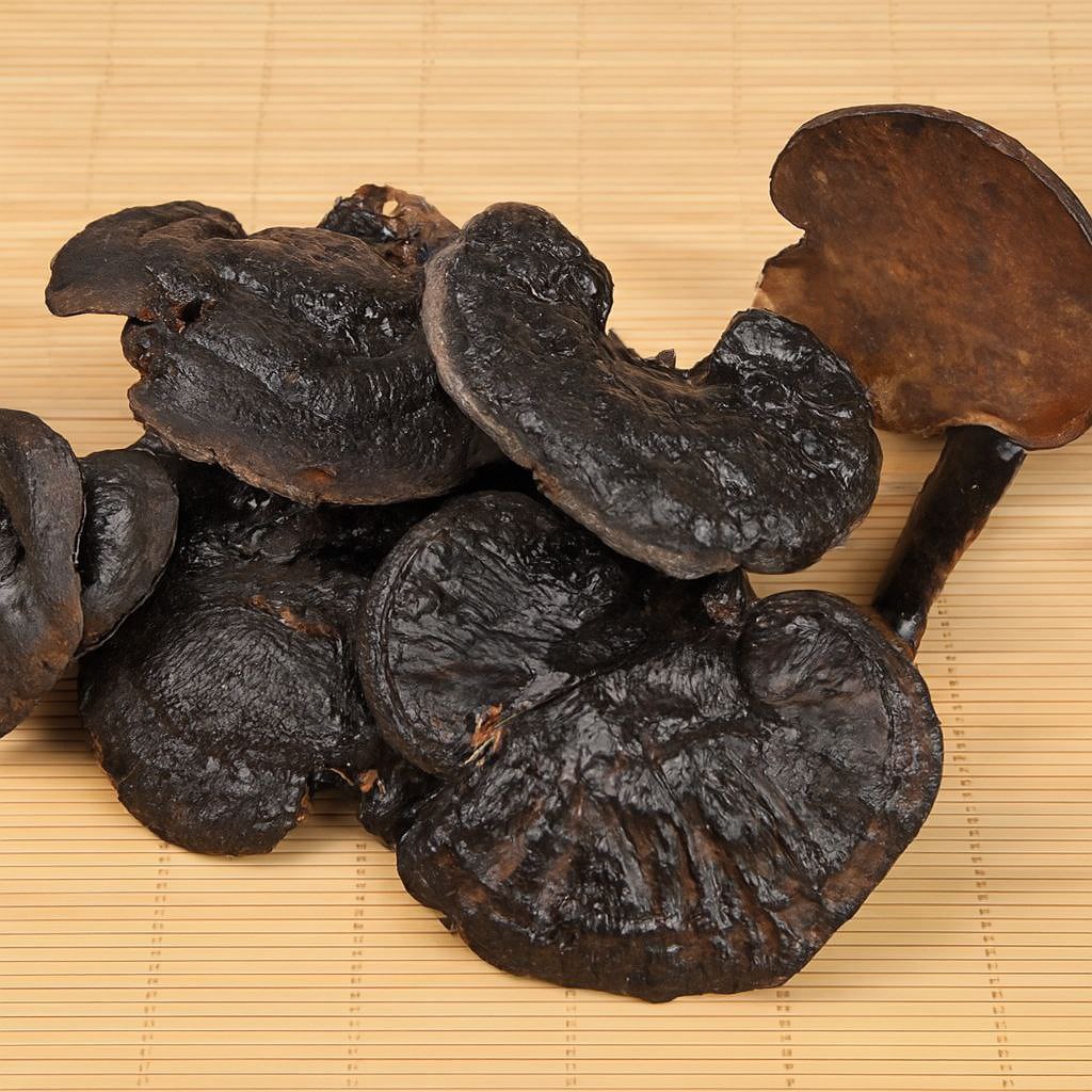 Pha linh chi và mật ong