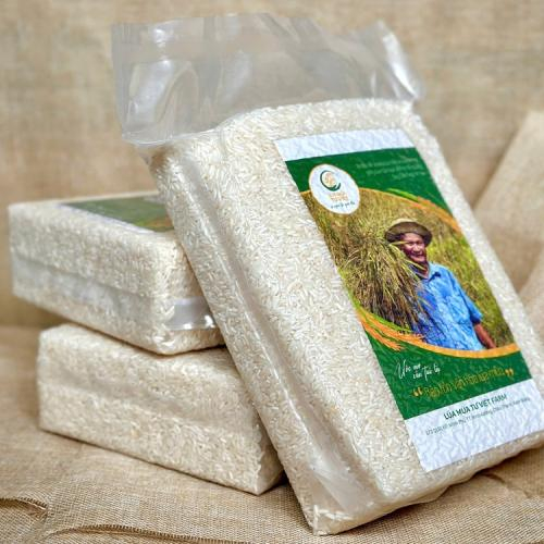 Bảo tồn và phục tráng giống lúa quý