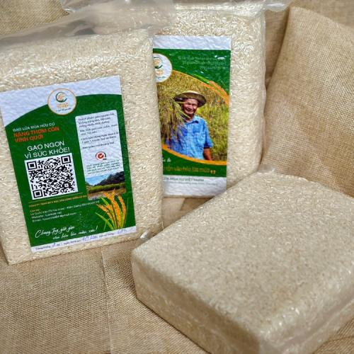 Vì sao gạo giúp bạn ngủ ngon?