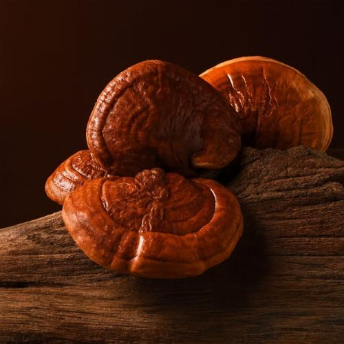 Theo y học hiện đại