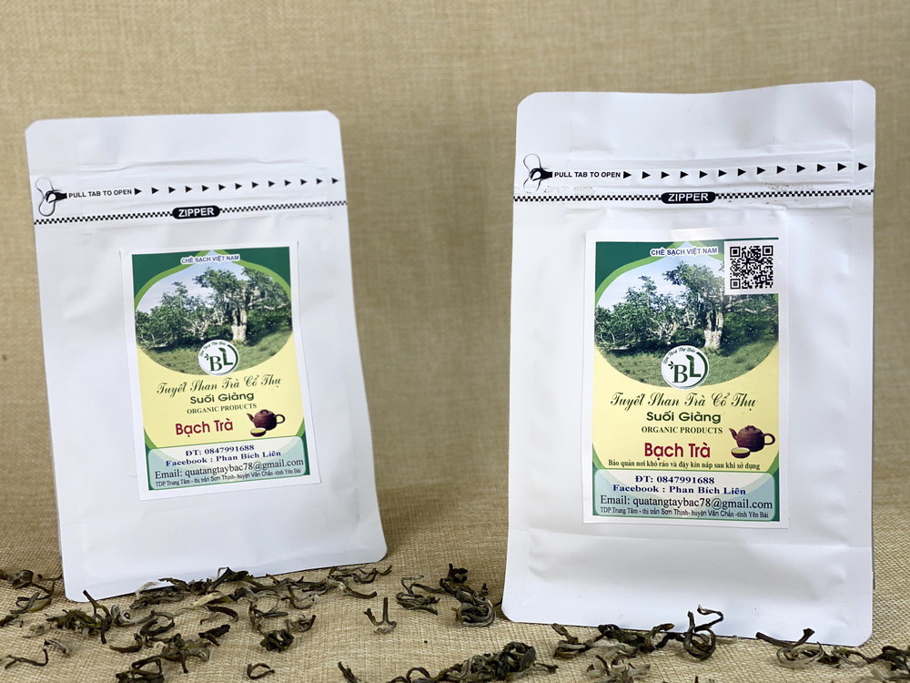 Bạch trà - Trà cổ thụ