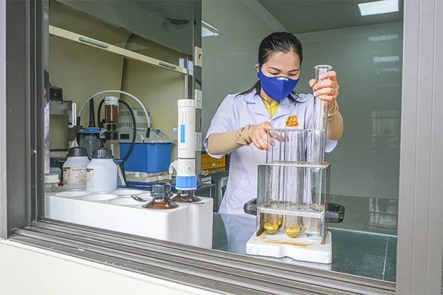 Kiểm tra chất lượng liên tục