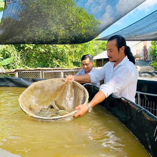Chỉ dùng cá tươi