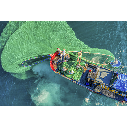 Nguyên liệu tươi từ biển Phú Quốc