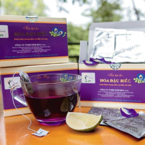 Mua trà hoa đậu biếc ở đâu tốt?