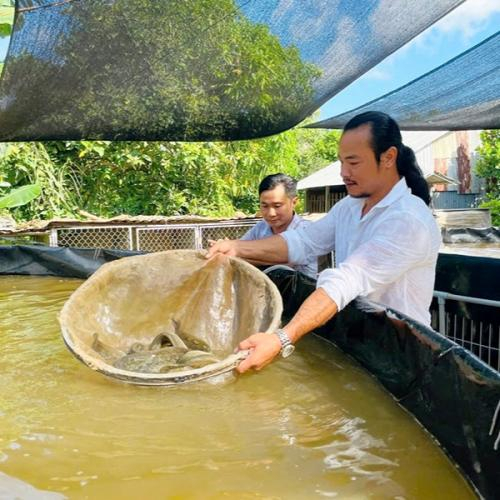 Chỉ dùng cá tươi