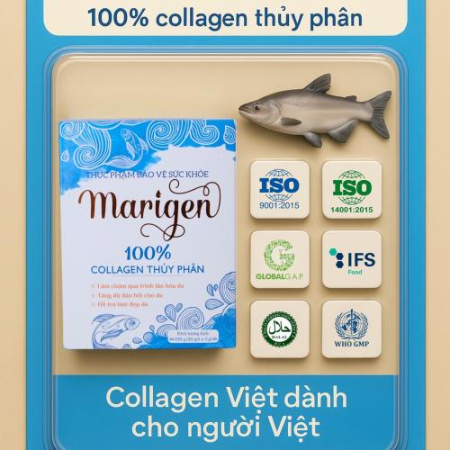 Vì sao bạn nên chọn collagen Marigen thay vì collagen từ bò, heo?